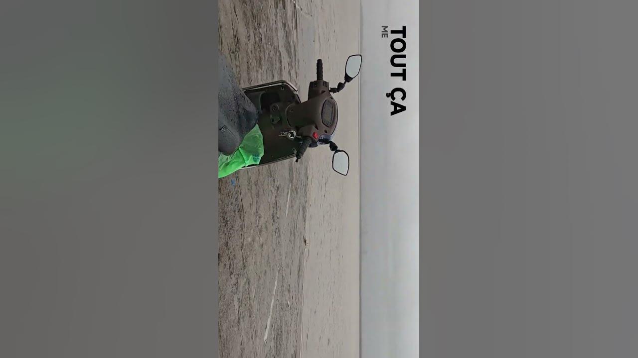 sea view #music #newsong #love #song #wildlifeentertainment #hindisong #adventure #nature #travel #m