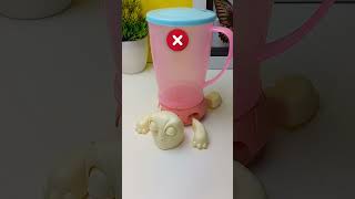 Cute Adorable Turtles - Turtle Coaster Part391