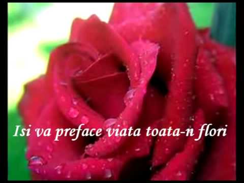 Alla Pugacheva - Milioane De Trandafiri Rosii (Million Roses / Milion Alix Roz)