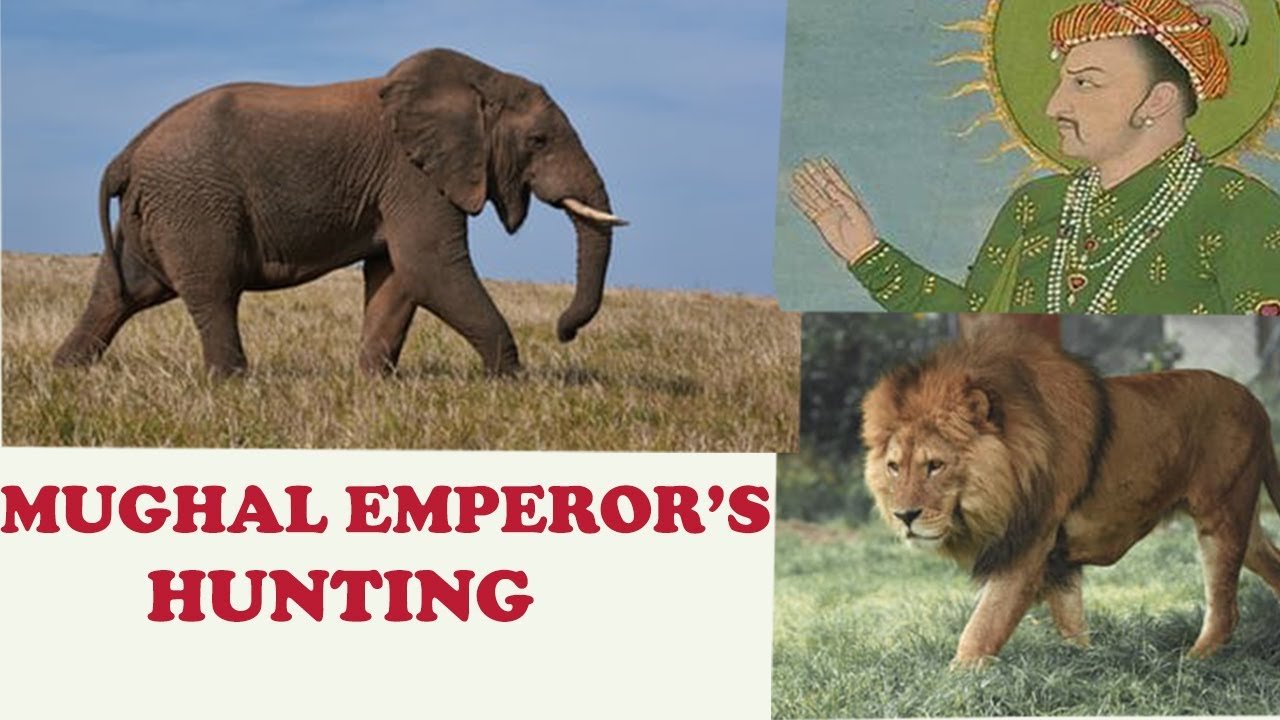 Hunting By Mughal Emperors (Mughal Hunting)