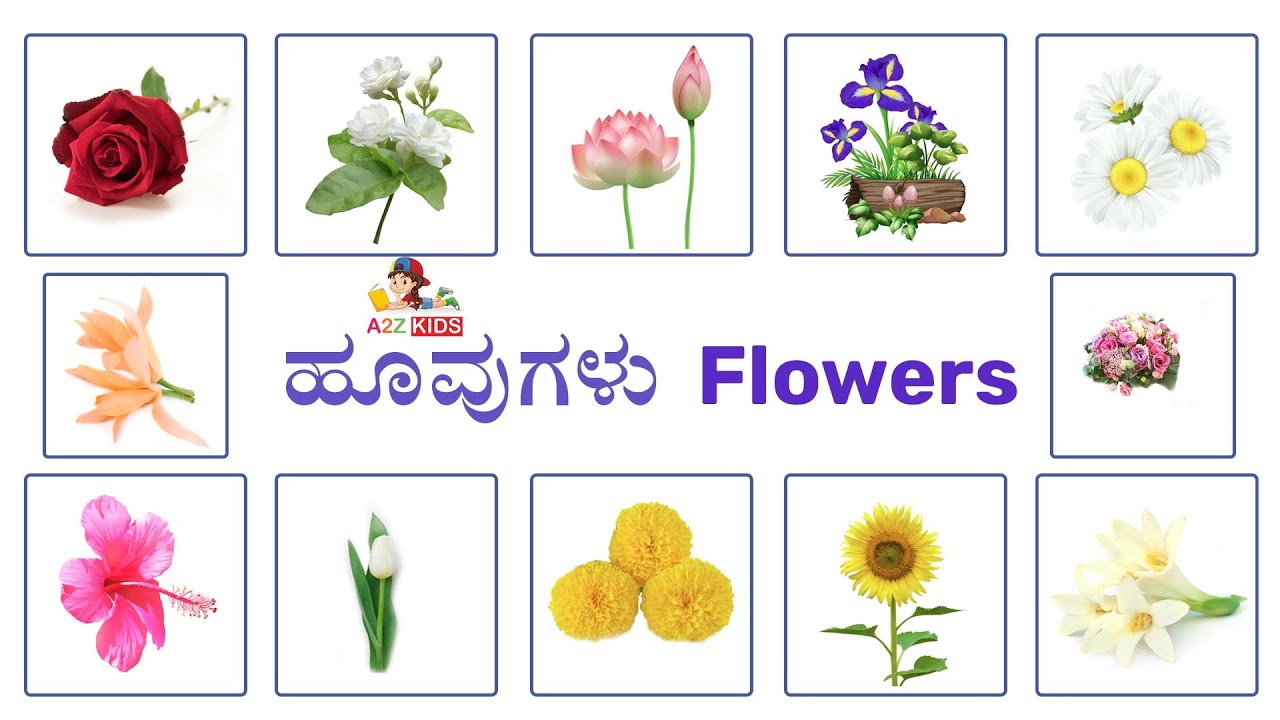 Huvugala Hesaru Flowers Names