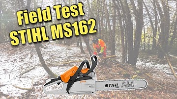 STIHL MS 162 Chainsaw Field Test And Review - Worth the Upgrade?