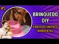 POTES DE IOGURTE - BRINQUEDO PARA CACHORRO | DIY