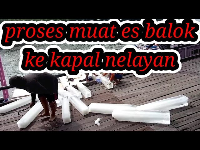 LAGI MANCING IKAN DI MUARA MALAH NELAYAN MUAT ES BALOK BUAT MELAUT class=