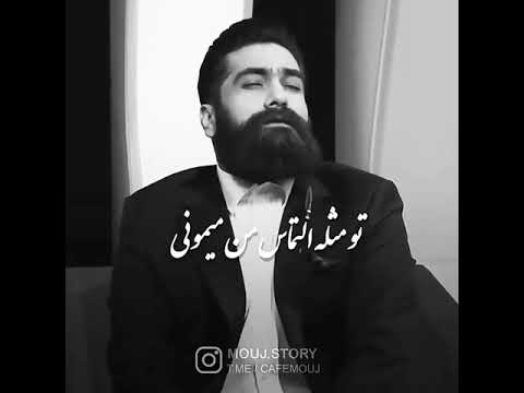 علی زندوکیلی موسیقی سنتی ایرانی غمگین موسیقی همایون شجریان قدیمی همایون شجریان