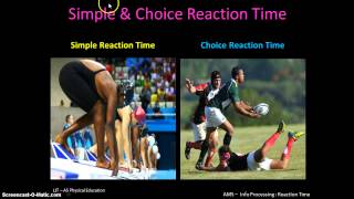 AS PE - AMS 9 - Reaction Time