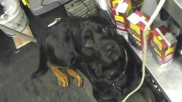 HOMEBREW WEDNESDAY 174 Burco boiler repairs