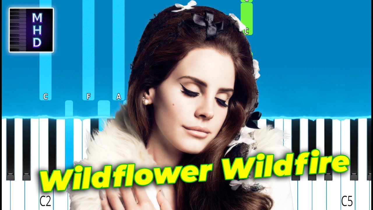 Lana Del Rey Wildflower Wildfire Piano Tutorial YouTube