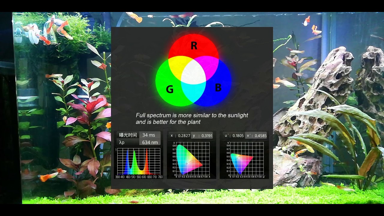 دووهەم  ڤیدیۆ بۆ په روه رده کردنی ماسی به شێوازێکی سه ره تایی.(2#)