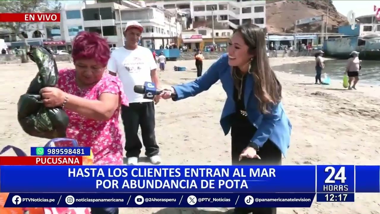 Pucusana: Reportan gran cantidad de pota y pejerrey en las orillas