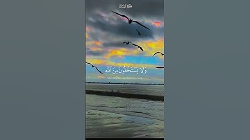 ياسر الدوسري سورة النساء #استمع #قرآن #اكسبلور #تيك_توك #اللهم_صل_وسلم_على_نبينا_محمد