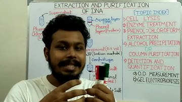 Phenol Chloroform extraction for DNA purification