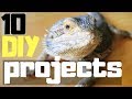 These 10 reptile diy projects will keep you busy  diy vivarium decor