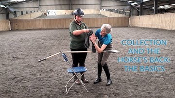 Collection And The Horse