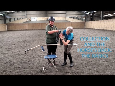 Collection And The Horse's Back: The Basics