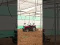 #polyhouse #farming #agriculture #polyhousefarming #garden #garden #farmer #greenhousefarming#shorts