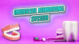 Universal Numbering System  - Everything Dentistry 🍎👄🔊✅