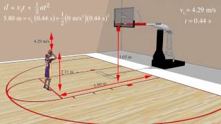 Projectile Motion in Sports