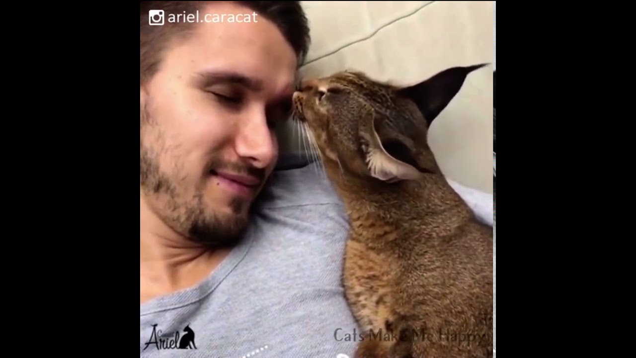 Ariel The Cacacat- ENGLISH