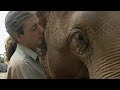 How Smart are Elephants? | The Zoo Keepers | BBC Earth