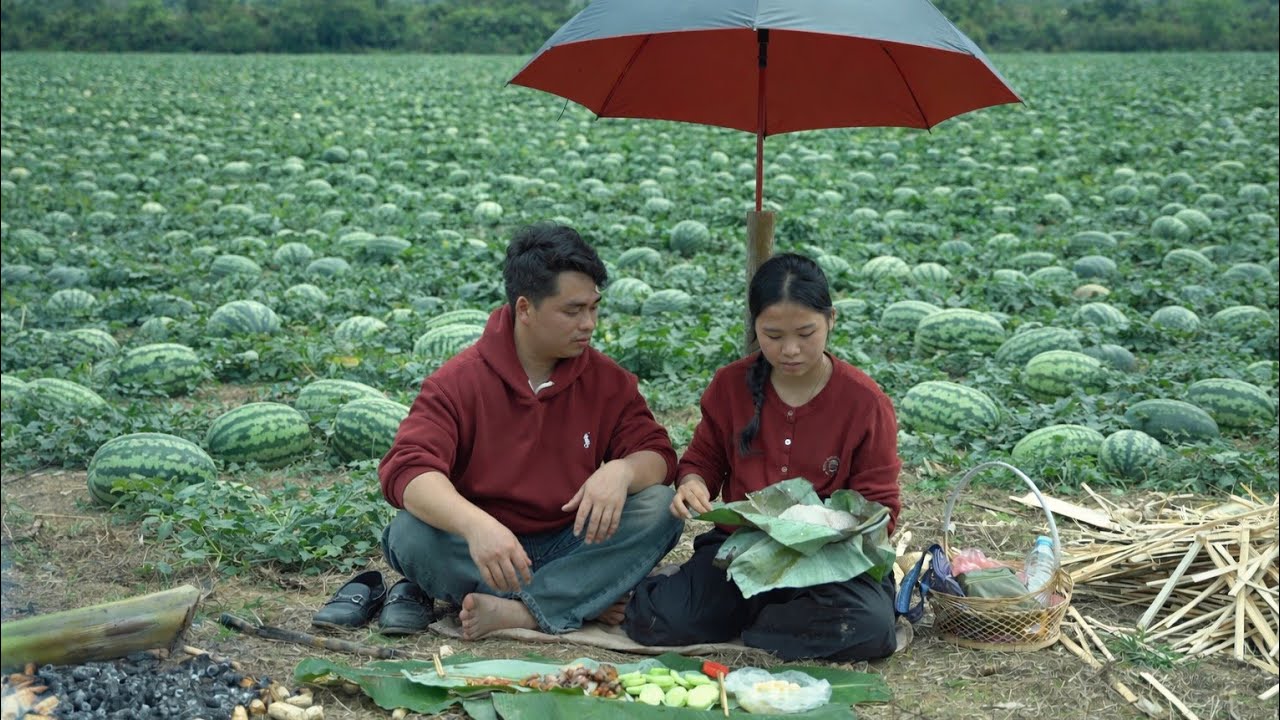 😲😲 Любовь и работа | Хунг и Ли Тьеу Ка продолжают свою работу на ферме.