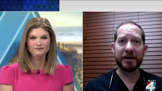 Holiday hazards and your pets