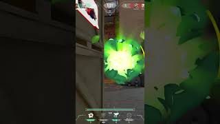 Why Does Skye Have 3 Flashes?