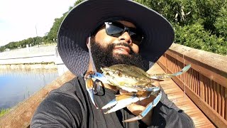 CRABBING FOR BLUE CRABS FROM A FISHING PIER IN FLORIDA!!!!  LETS GO!!!!