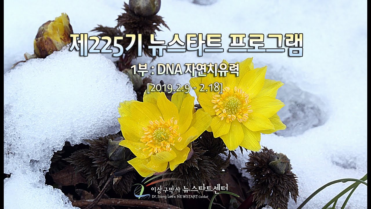 R225 04 활성산소와 유전자
