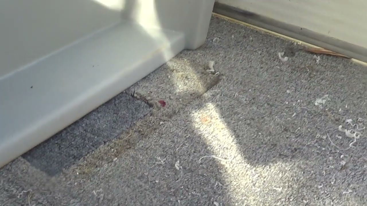 Free Pontoon Project - Console Install