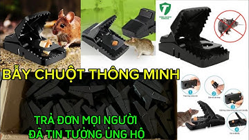 CÁCH BẪY CHUỘT HIỆU QUẢ AN TOÀN NHẤT LÀ ĐÂY - BẪY CHUỘT THÔNG MINH KHẮC TINH CỦA LOÀI CHUỘT - GIÁ RẺ