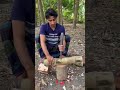 memotong bagian batang bambu hijau secara manual menggunakan pisau golok besi tajam besar di hutan