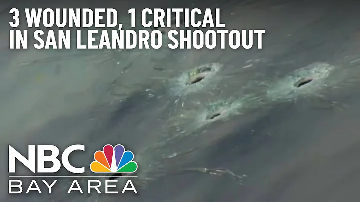 Several Injured After Shootout at San Leandro Mari...