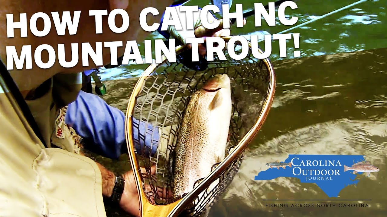 How To Catch Mountain Trout In North Carolina YouTube