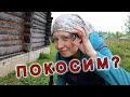 Покосим? Кошу бензокосой траву на участке у дома