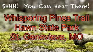 Hawn State Park - Whispering Pines North by Rmarvids 118 views 5 months ago 9 minutes, 2 seconds