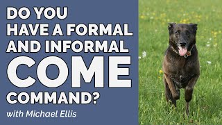 Does Michael Ellis Have a Formal and informal COME Command? Find out now!