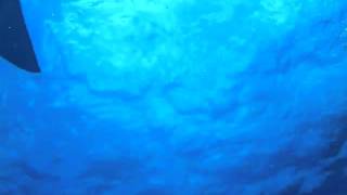 dive trip 032.avi