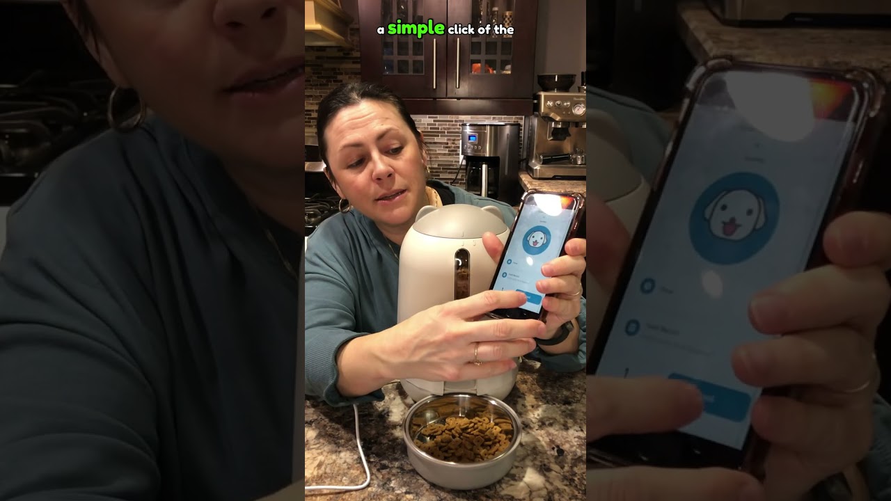 Papifeed Smart Cat Feeder Review: WiFi, 3L, Dual Power 