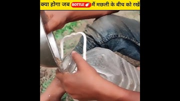 उसने बोतल में मछली डाल दी... लेकिन आगे जो हुआ वो आपको हैरान कर देगा!#YTSHORTS #Fishing