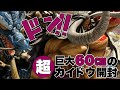 【圧巻‼︎】【驚愕‼︎‼︎】【大迫力‼︎】百獣のカイドウ　開封動画