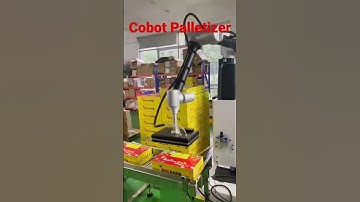 Cobot Palletizer Easy to Operate Up to 12PPM, Max Payload 30KG