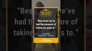 Customer Review