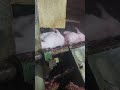 二師兄脫毛過程