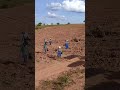 O campo em ação! 🤝 #investimentoflorestal #viveiro #operacoes #fazendasavenda #mognoafricano #campo