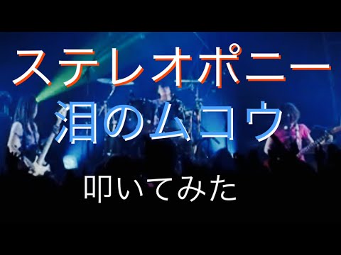 ステレオポニー/泪のムコウ　叩いてみた