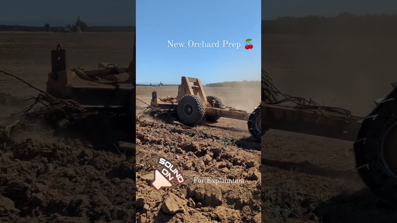 From Groundwork to Growth: Preparing Our New Orchard for a Bountiful Future!