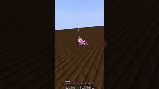 minecraft axolotl 360 no scope