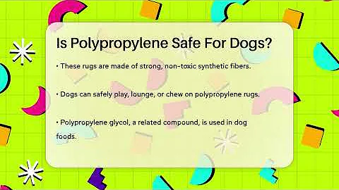 Is Polypropylene Safe For Dogs? - Chemistry For Everyone