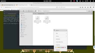 How to use wget in Linux Ubuntu / elementaryOS